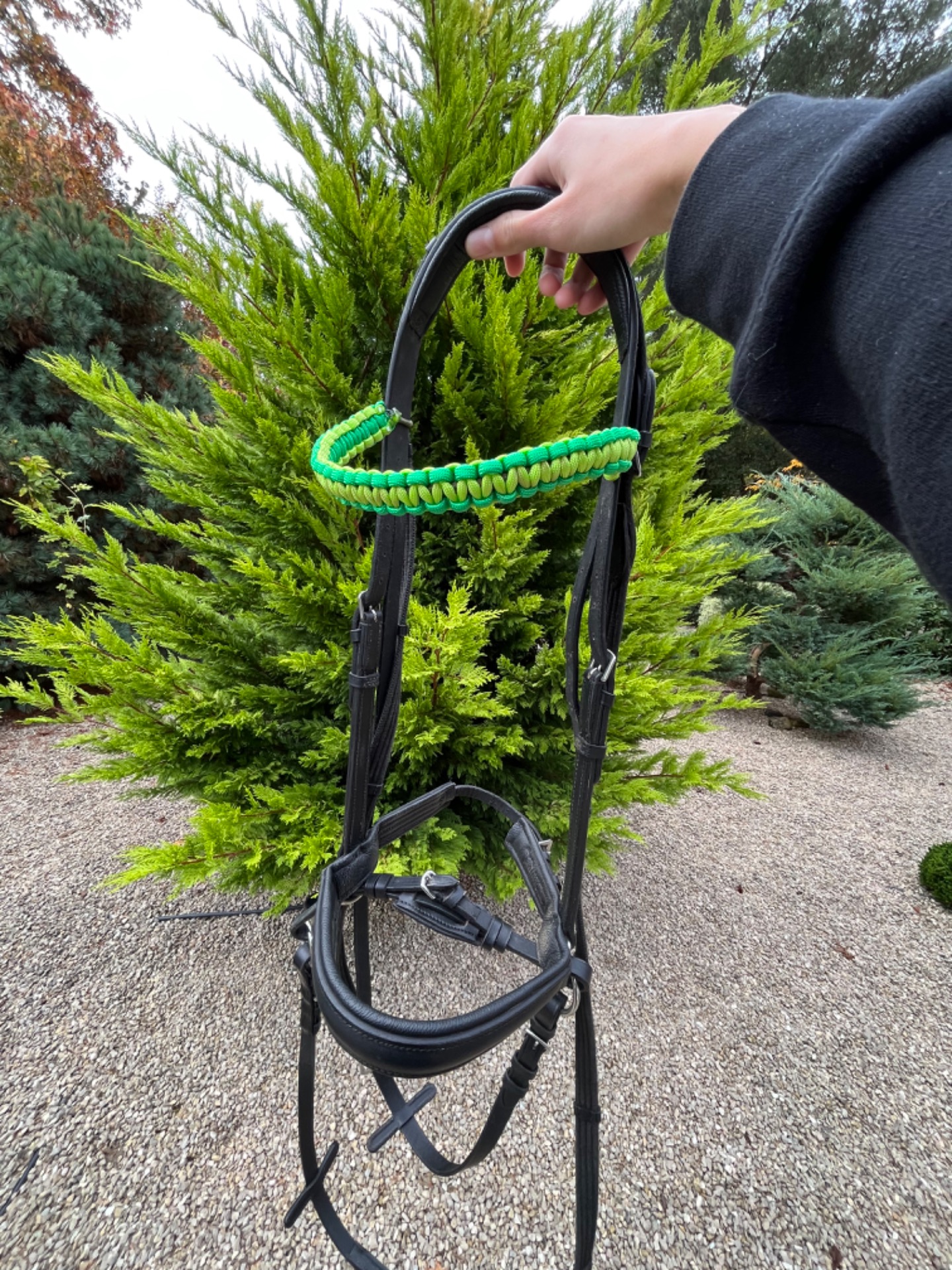 Horse Equipment