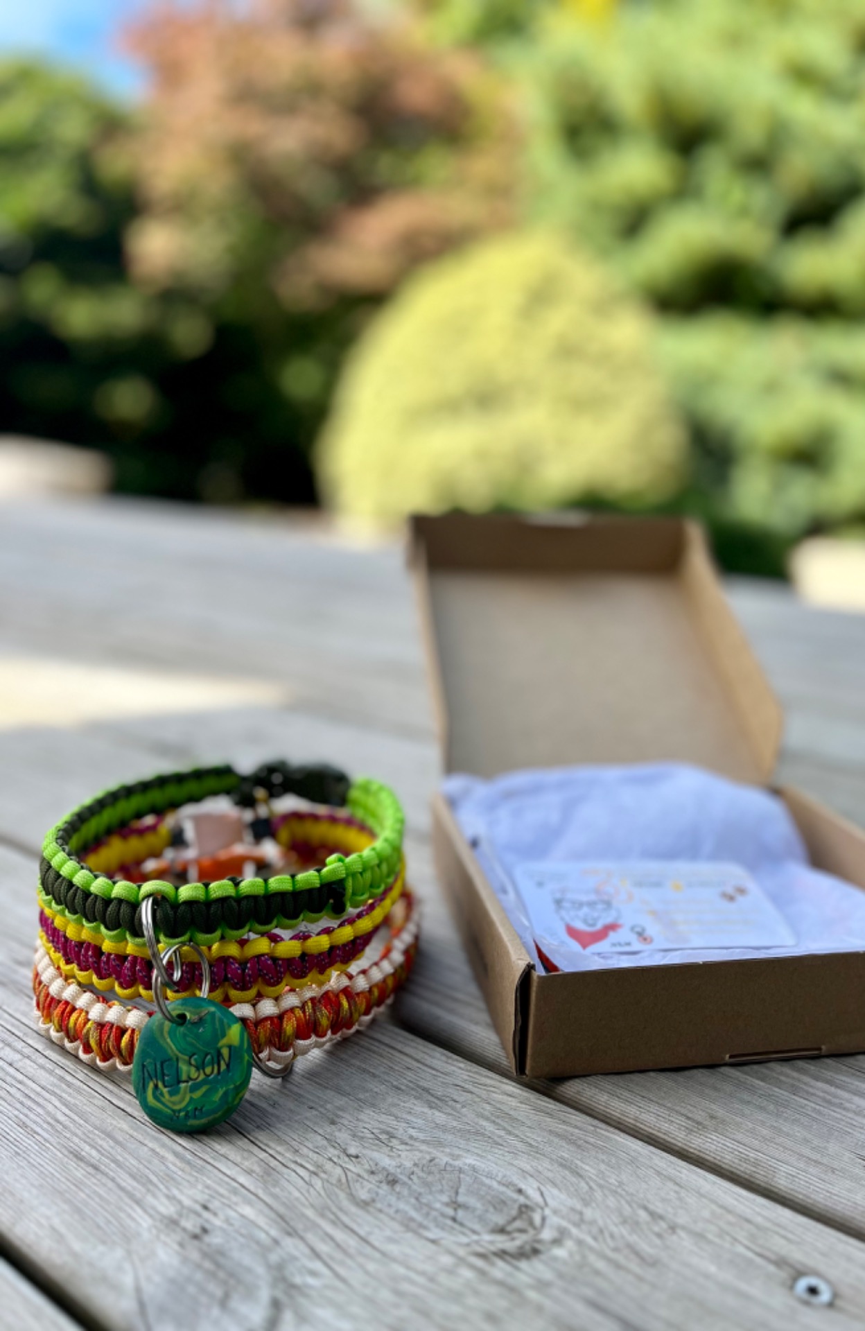 Boxs Surprises